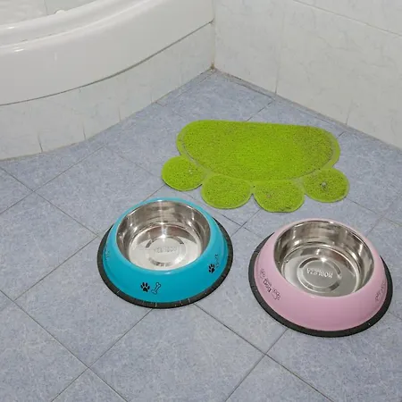 Pets At Appartamento Lucca