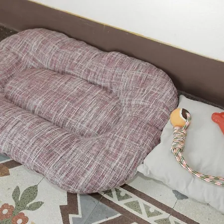 Pets At شقة *